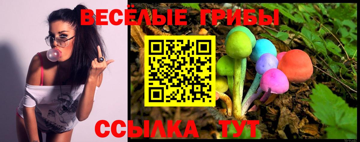 Медногорск  купить наркотик  Вход с VPN  Псилоцибиновые грибы прущие грибы 