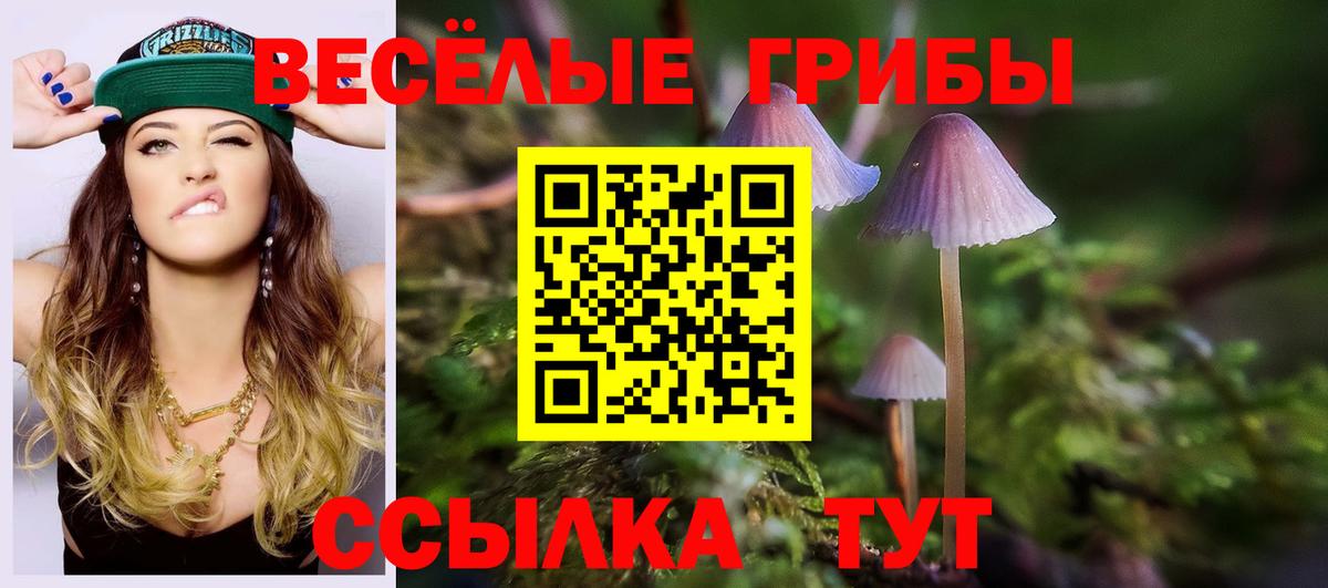 АМФ кристаллы  Гашиш  Кокаин  Медногорск  Мефедрон кристаллы  Каннабис  Бошки Шишки  Вход с VPN 